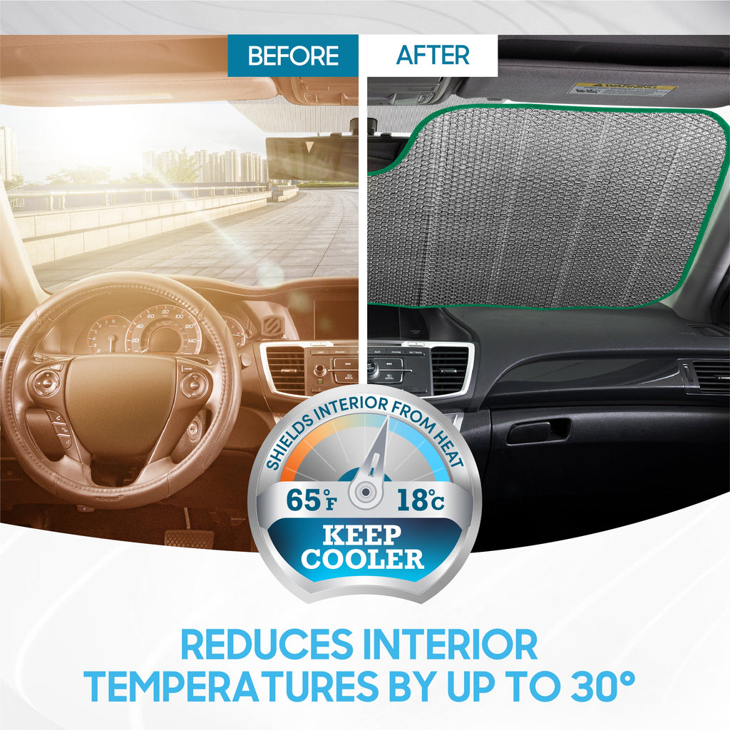 BDK 100 Dollar Benjamin Front Windshield Sunshade (58" x 27")