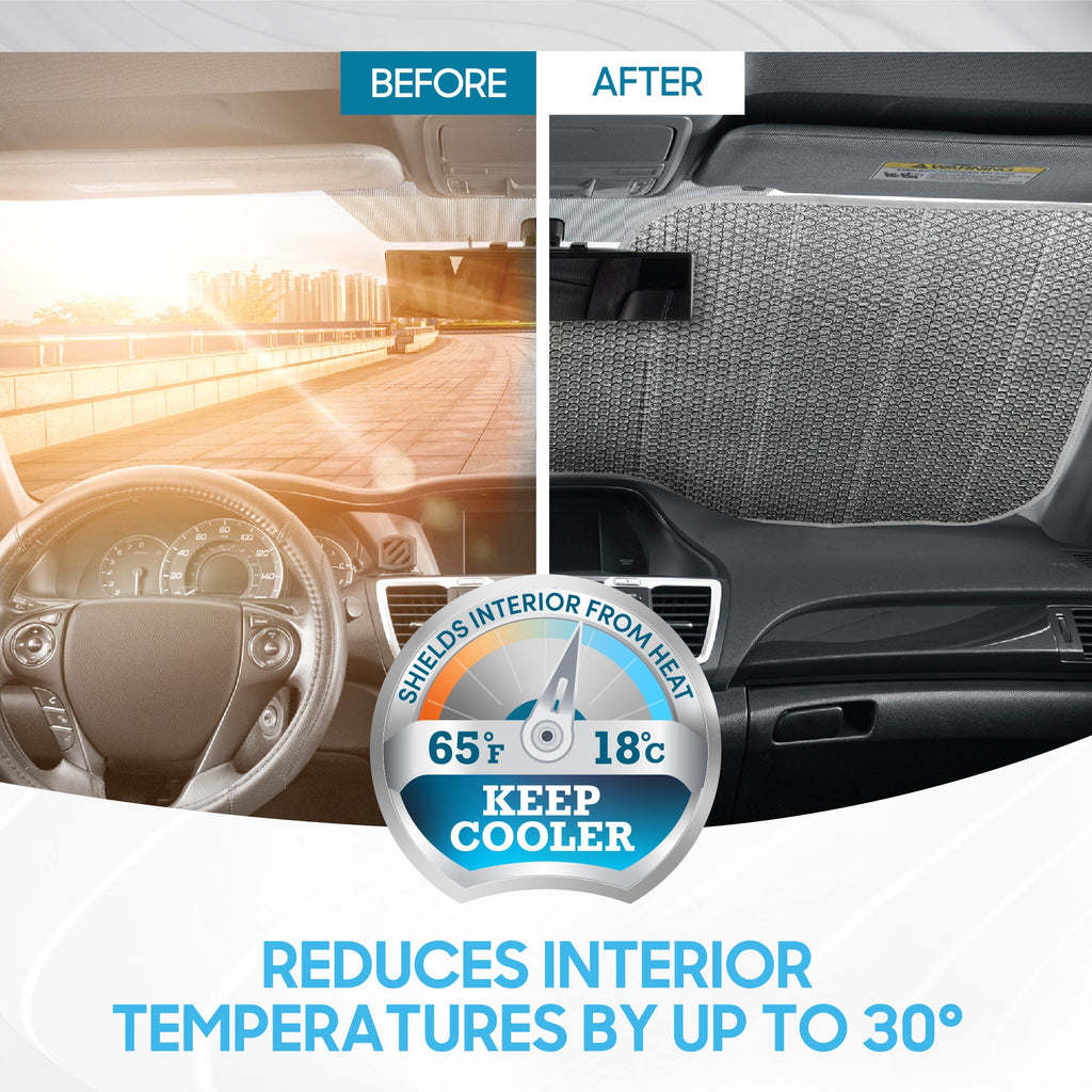 BDK Golden Palm Beach Front Windshield Sunshade (58" x 27")