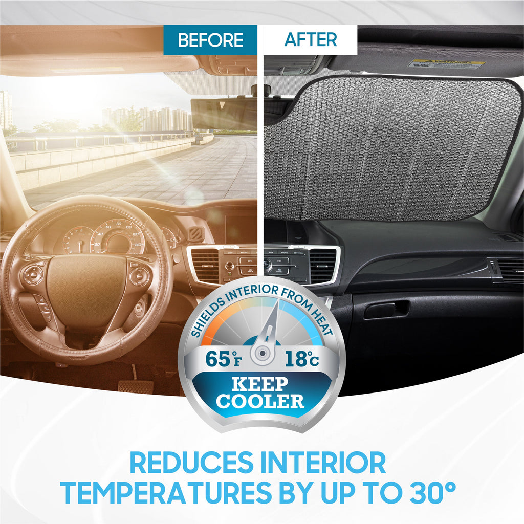 BDK Purple Palm Beach Front Windshield Sunshade (58" x 27")